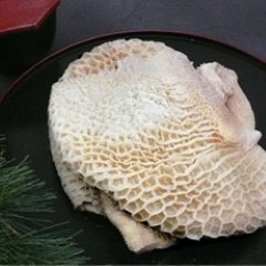 �n�`�m�X(��1kg)<br>�y�Ⓚ�z