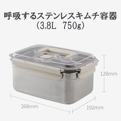 �ċz����X�e�����X�L���`�e��(��)