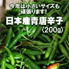 ���{�Y���h�q(200g)�y�①�z