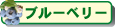 �֥롼�٥꡼���ʡ�