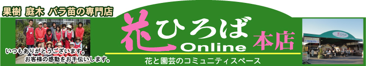 �֤Ҥ�����Ź�ȥåץڡ�����