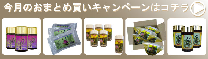 3月 キャンペーン